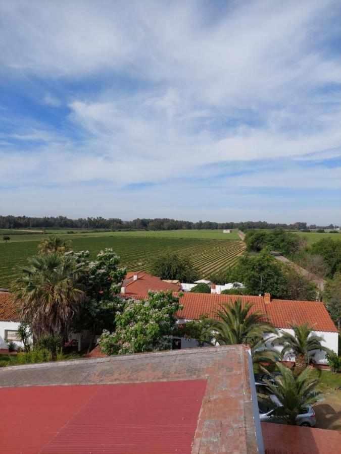 Hotel Rural Villa Torreaguila Badajoz Eksteriør billede