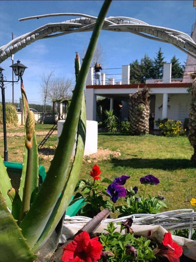 Hotel Rural Villa Torreaguila Badajoz Eksteriør billede